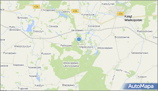 mapa Międzybórz, Międzybórz gmina Książ Wielkopolski na mapie Targeo